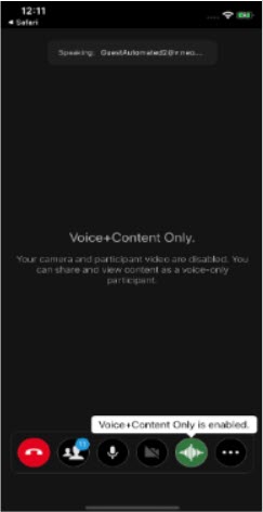 VoiceContentOnly.jpg